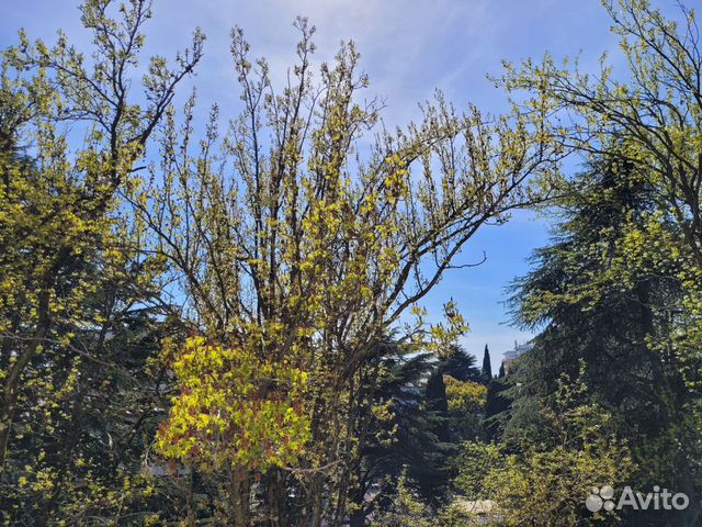 Репетитор по биологии, Помощь с домашним заданием