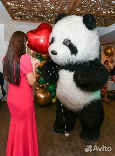 Белые мишки. Панды. Организация праздников