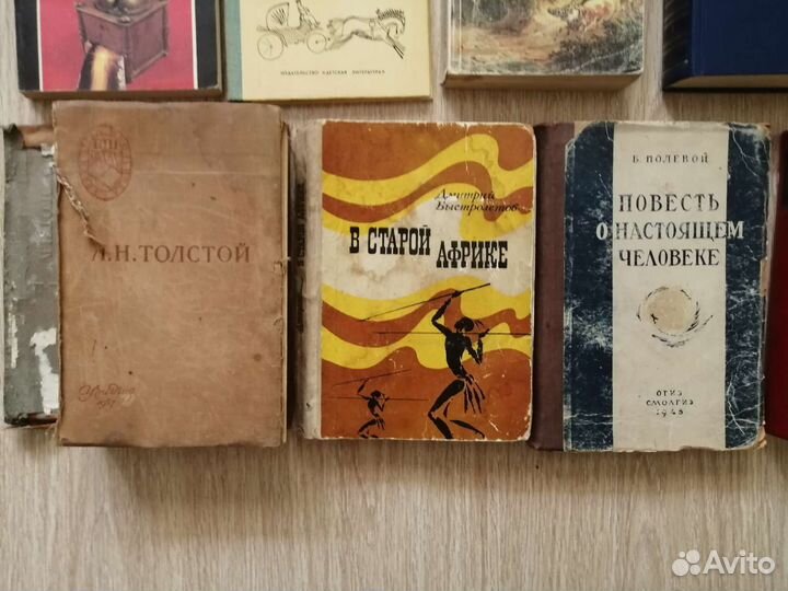 Книги (Стругацкие, Толстой, Гоголь, Некрасов тд)
