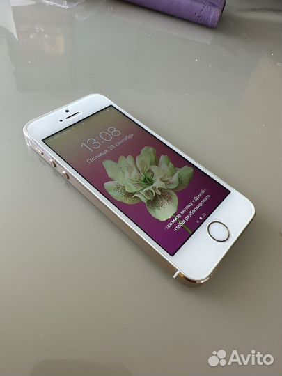 iPhone 5s