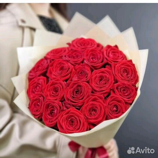 Роза красная