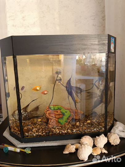 Аквариум