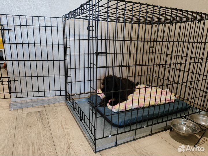 Клетка для собак размер 4