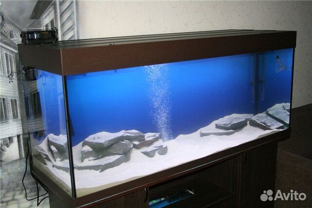 Обслуживание,чистка, установка аквариумов