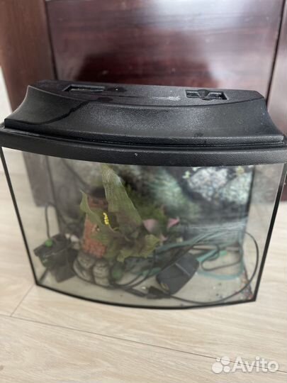Аквариум