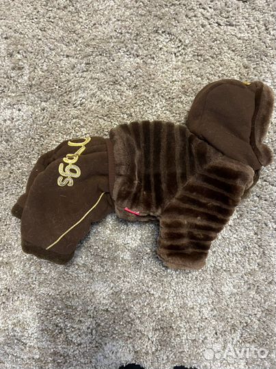 Одежда для собак