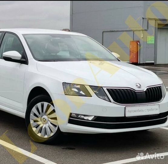 Ноускат Skoda Octavia A7 2013-2020 B4