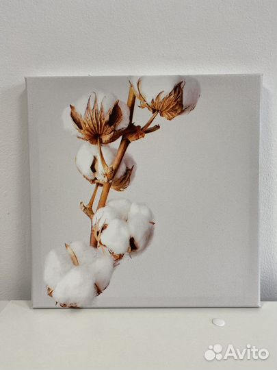 Картина на холсте «Хлопок» 30x30 см