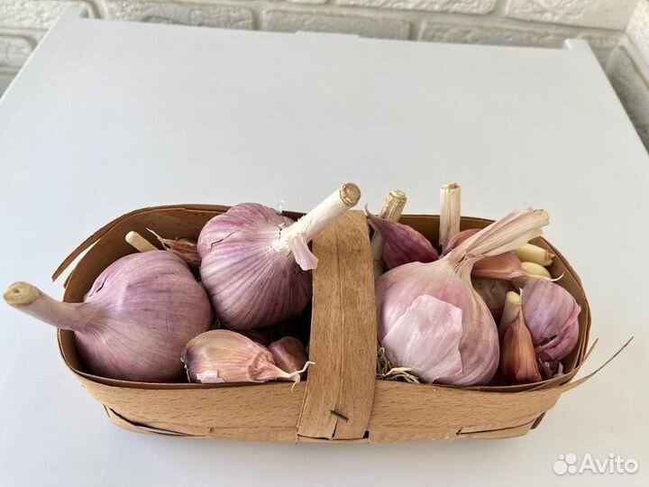 Чеснок товарный