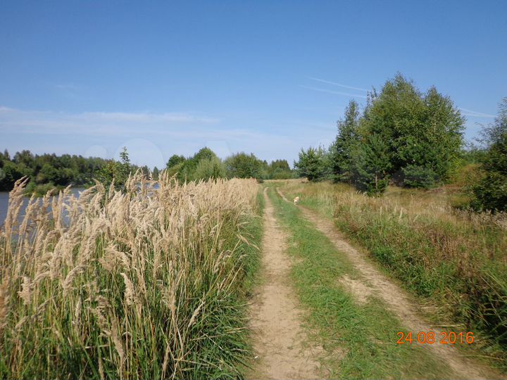 Участок 20 га (СНТ, ДНП)