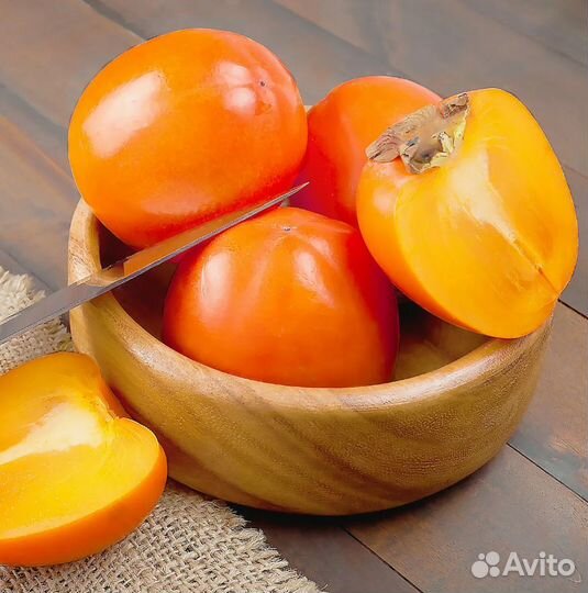 Саженцы крупной морозостойкой Хурмы Говерла