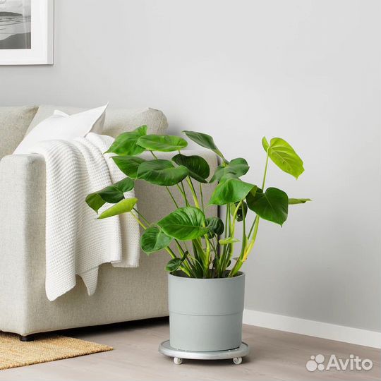 Кашпо nypon IKEA икеа нипон оригинал