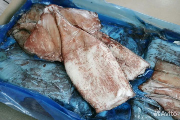 Рыба и морепродукты