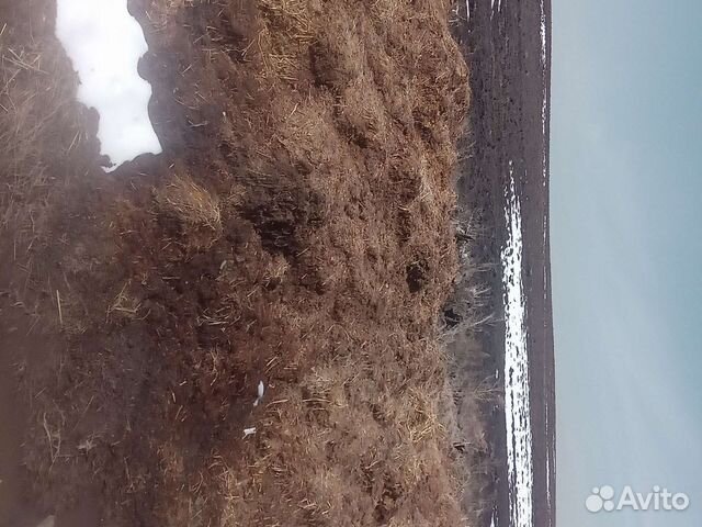 Конский навоз