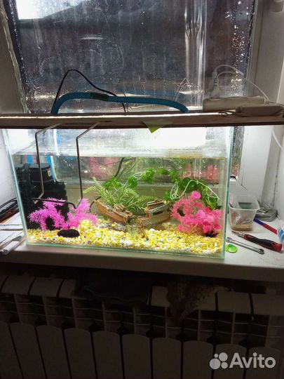Аквариум