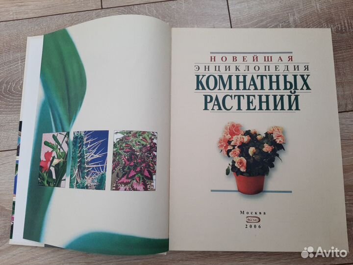 Книга Комнатные растения