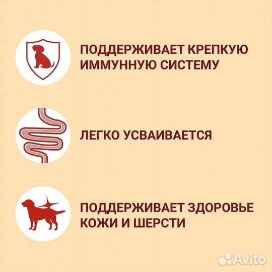 Purina ONE паучи с лососем для взрослых собак малы