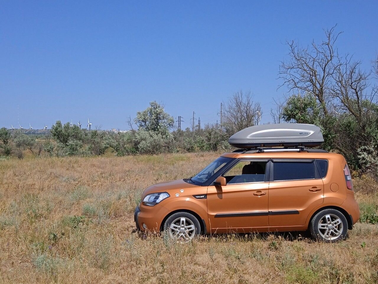 Kia Soul: фото владельца