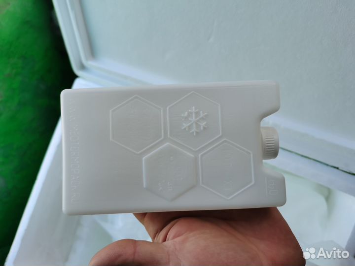 Хладоэлемент