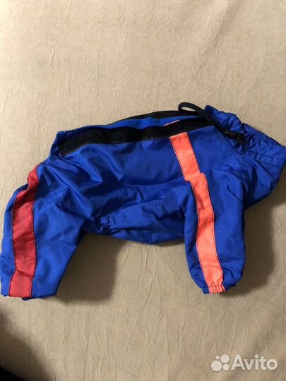 Дождевик для собак