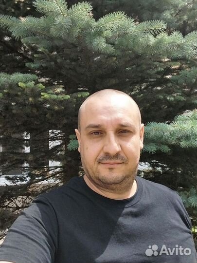 Экономист