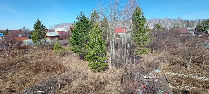 Участок 10 сот. (СНТ, ДНП)