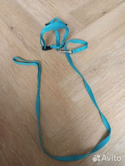 Вещи на Йорка