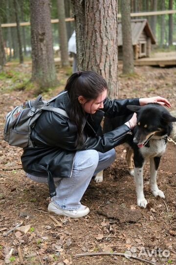 Активный тур в Карелию 4 из Петрозаводска