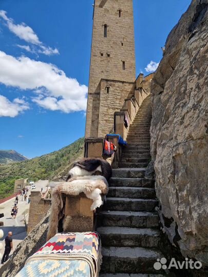 Туристические поездки