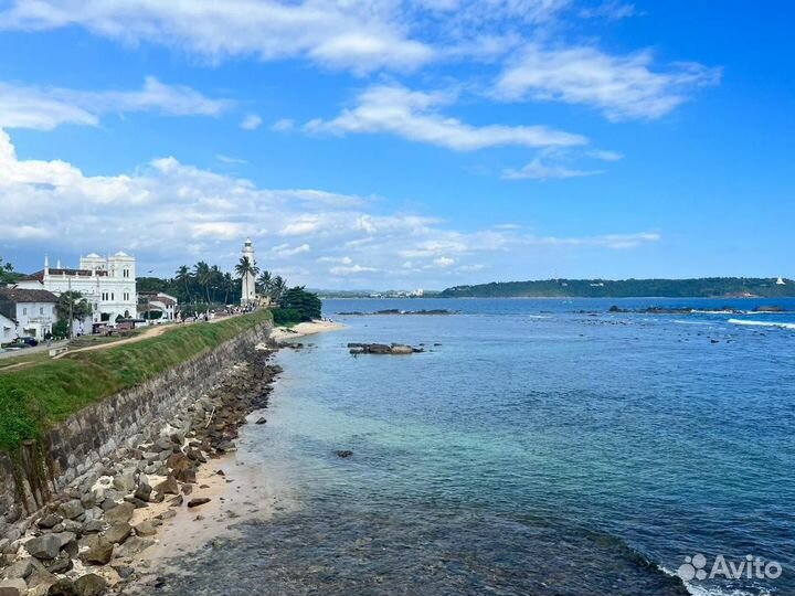 Отзыв о Шри-Ланке