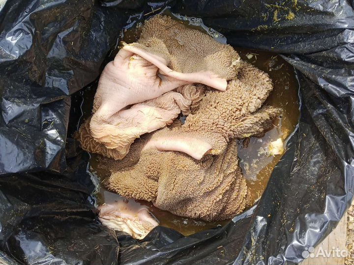 Рубец на корм собакам