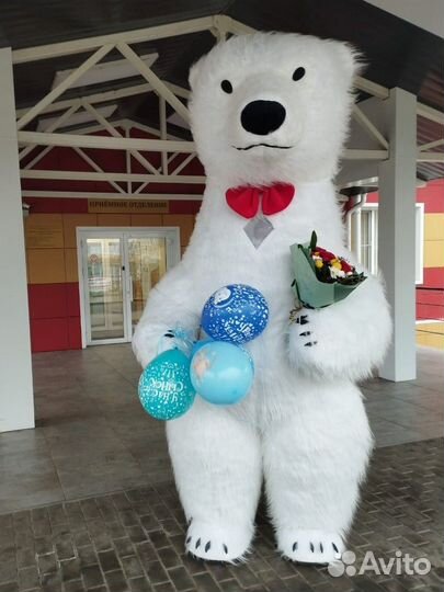 Поздравление от белого мишки Умки/Аниматор