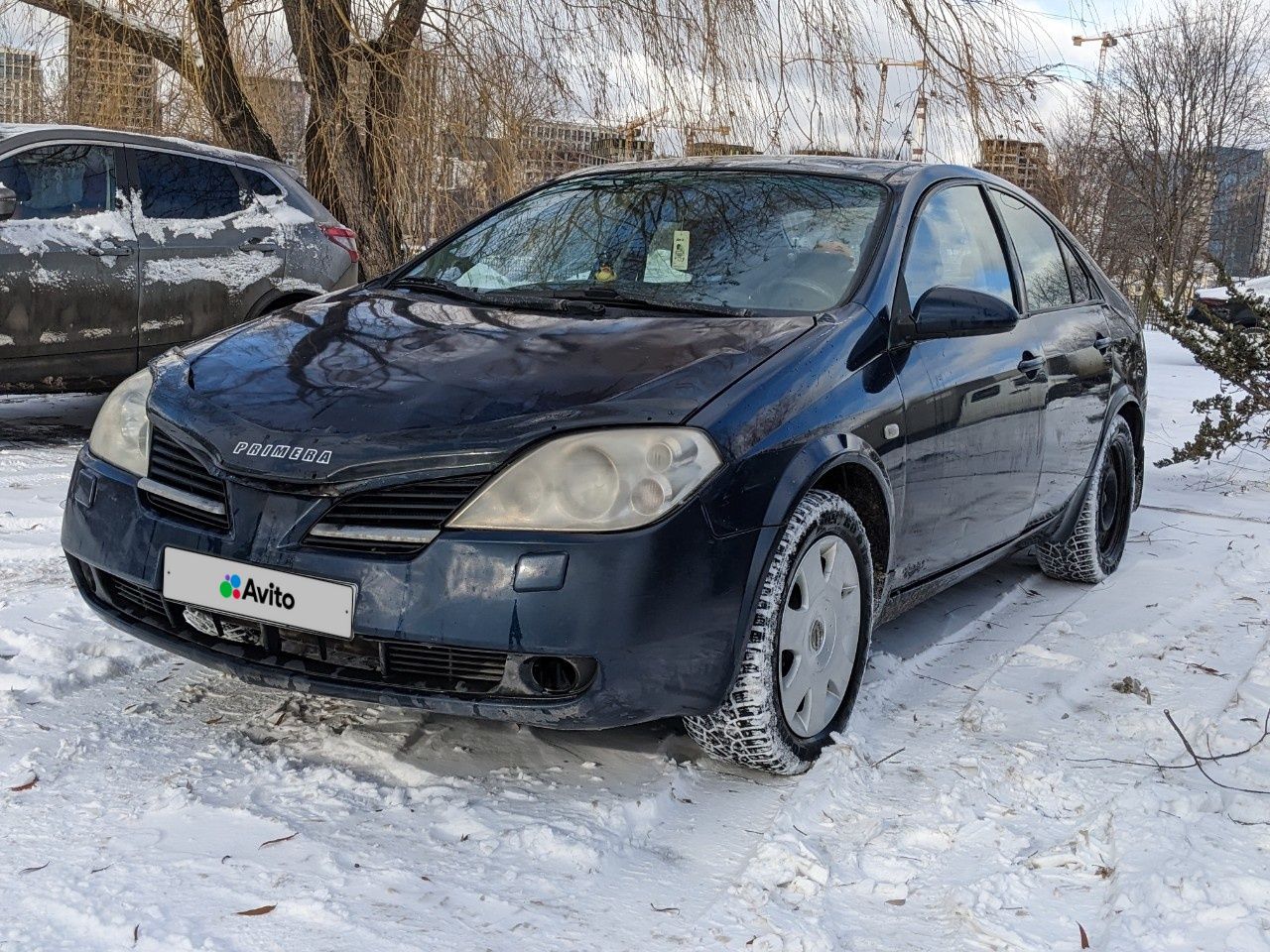 Nissan Primera: фото владельца