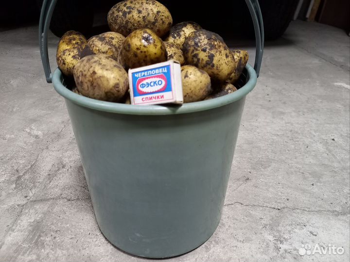 Продам картофель с доставкой