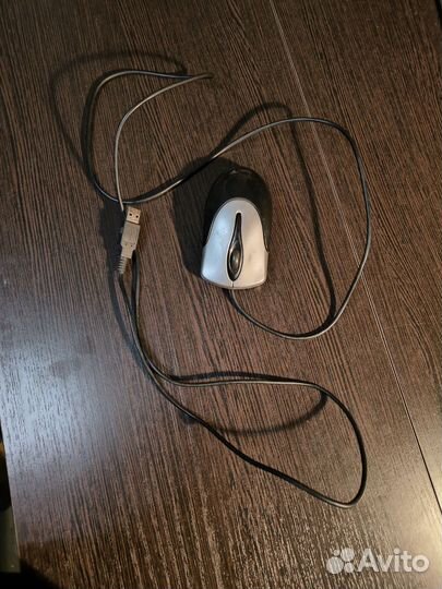 Мышь