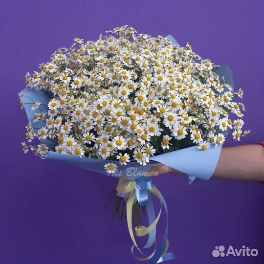 Букет ромашек Ромашки 19 25 51 101