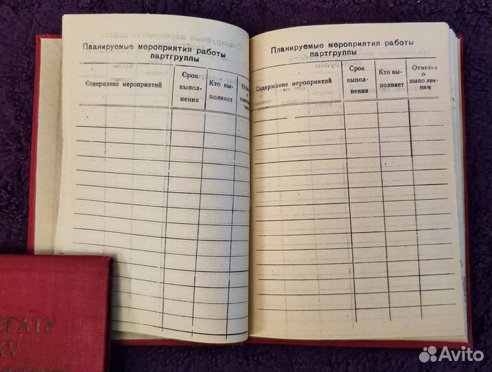 Дневник партгруппорга СССР