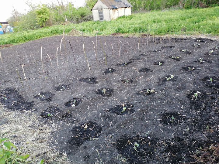 Дом 59 м² на участке 60 сот.