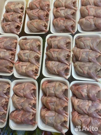 Мясо перепела