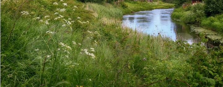 Дом 40 м² на участке 12 сот.