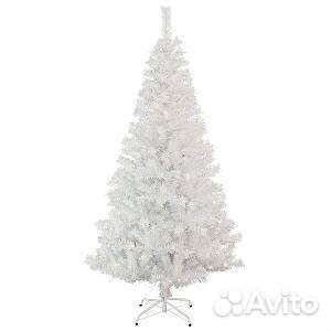 Ель Белая 1 метр 80 см