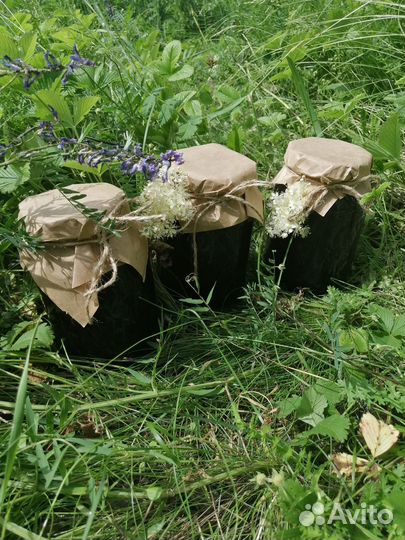 Луговой Майский Мед 2024 год