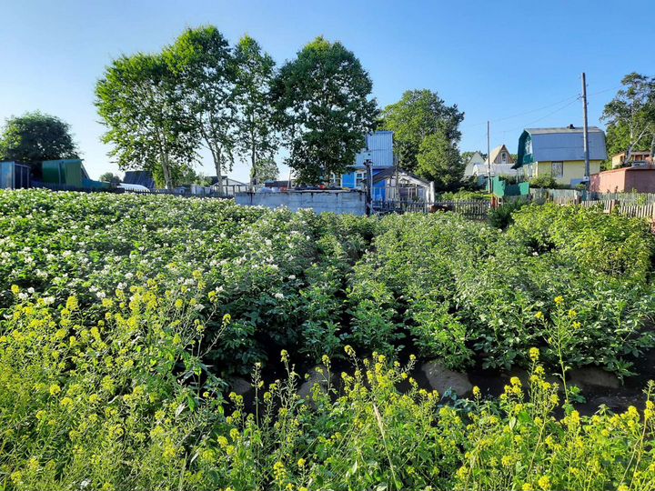 Участок 6 сот. (СНТ, ДНП)