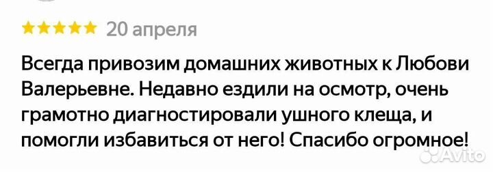Ветеринарный врач