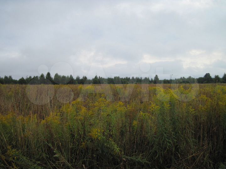 Участок 3,4 га (СНТ, ДНП)