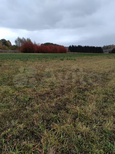 Участок 40,5 сот. (ИЖС)