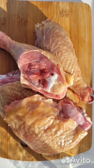 Куры бройлеры тушки мясо оптом