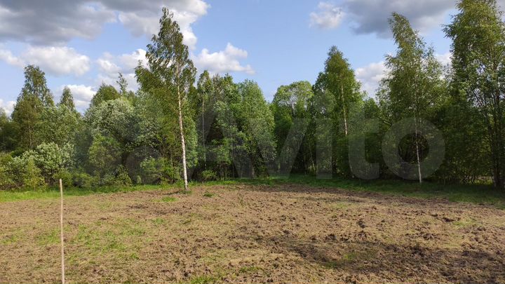 Участок 31,5 сот. (ИЖС)