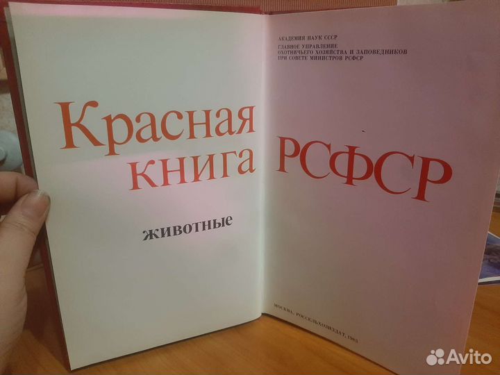 Красная книга РСФСР животные. 1983