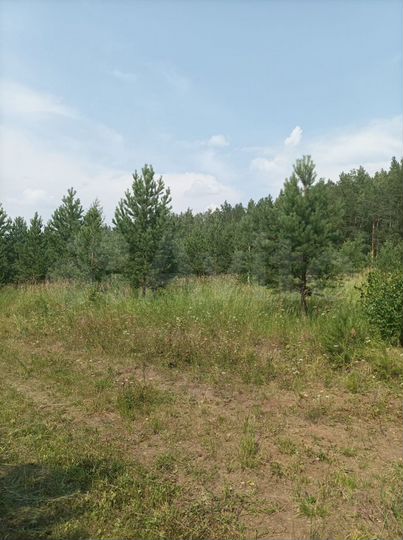 Участок 15 сот. (СНТ, ДНП)